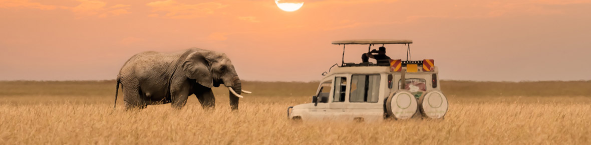 Tansania Safaris